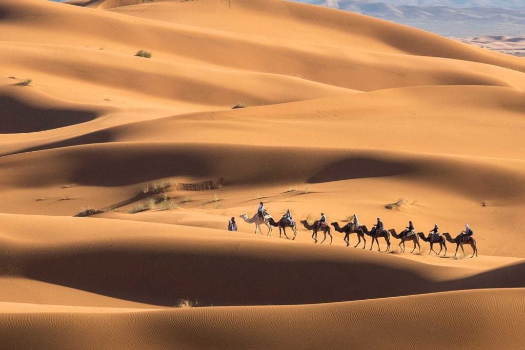 A camel train traveling in the Sahara during the solar eclipse.