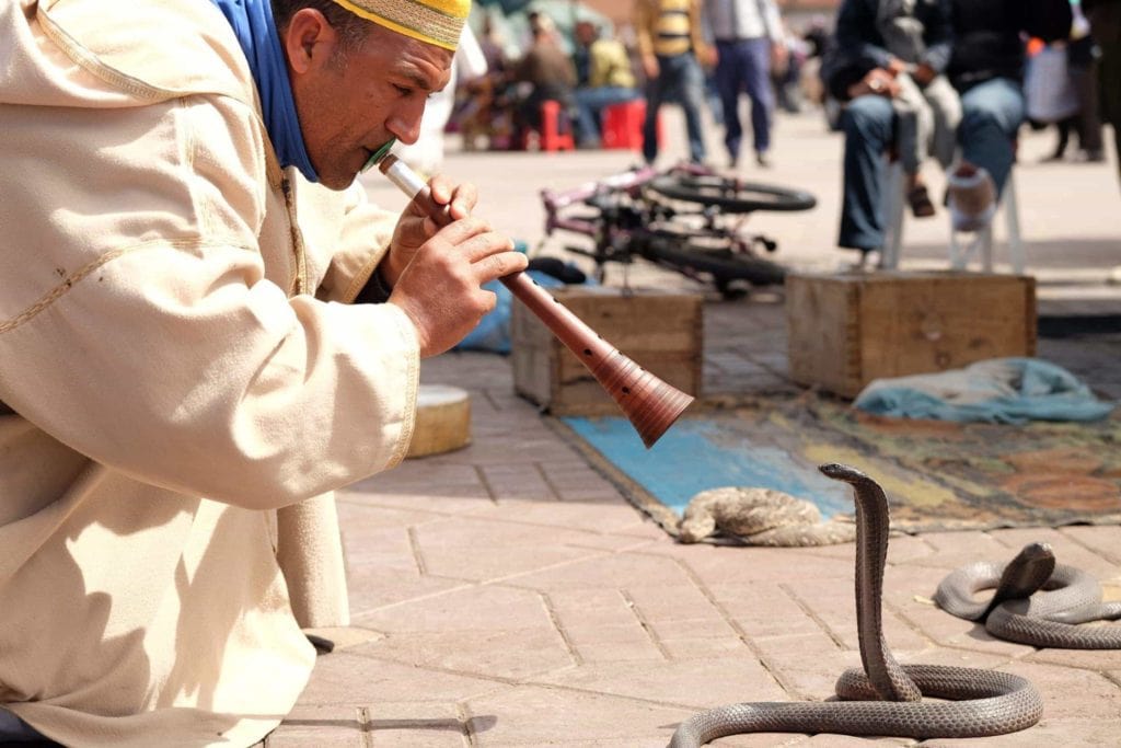 Snake "charmers" have been wowing crowds at the Djemaa el-Fna, and eeking dirhams out of onlookers, for centuries.