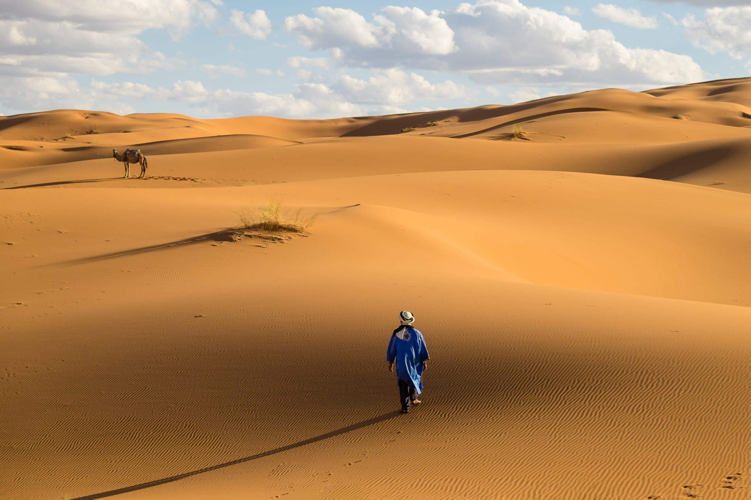 tour the sahara desert